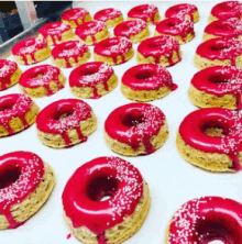 plant based deserts delivered houston