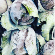 vegan food delivery houston